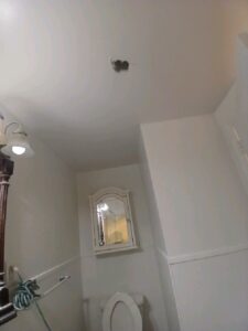 Ceiling & Interior Restoration