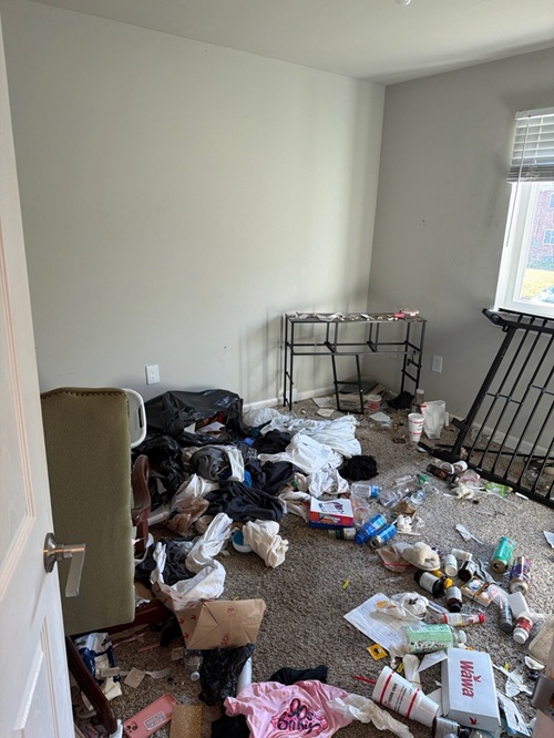 Living area before - ruined carpets