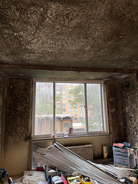 Initial mold damage assessment