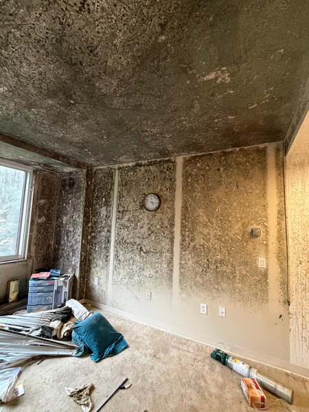 Wall mold infiltration